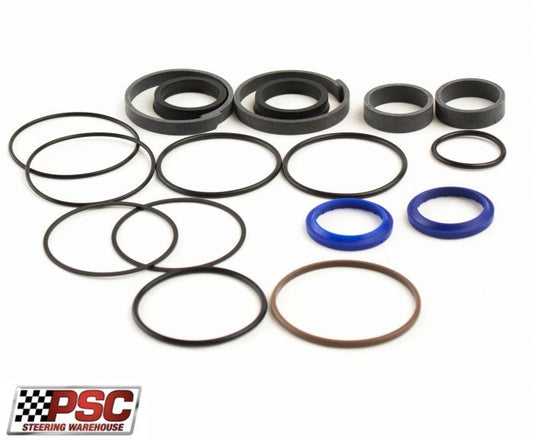 Psc cylinder seal kit